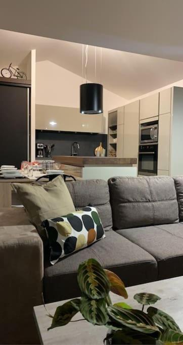 Belle Maison Climatisee - Meet - Aeroscopia - Tramway Aussonne 외부 사진