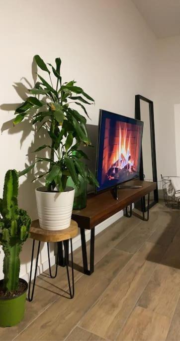Belle Maison Climatisee - Meet - Aeroscopia - Tramway Aussonne 외부 사진