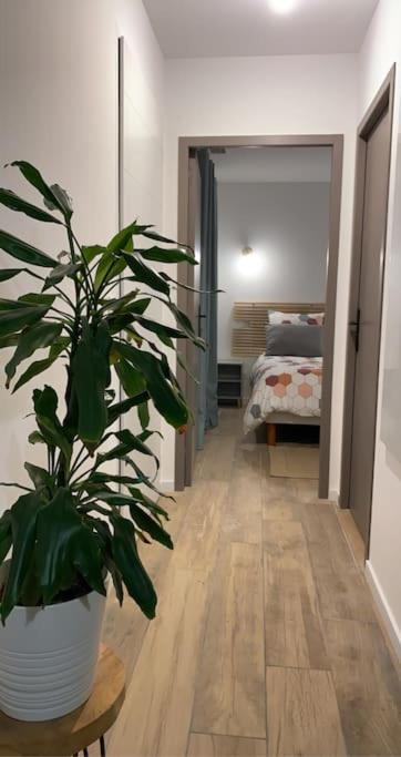 Belle Maison Climatisee - Meet - Aeroscopia - Tramway Aussonne 외부 사진